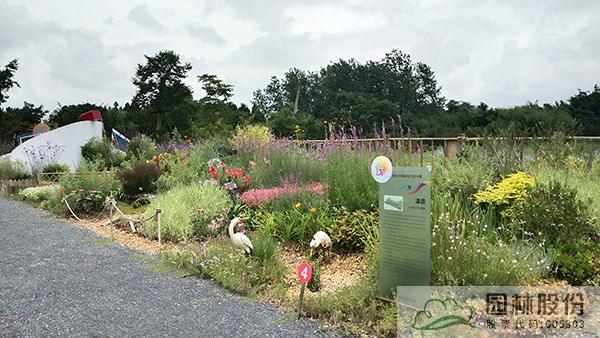 电竞比赛押注app