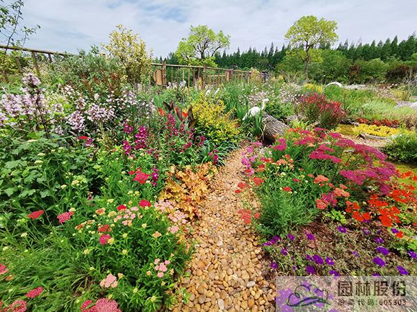 电竞比赛押注app