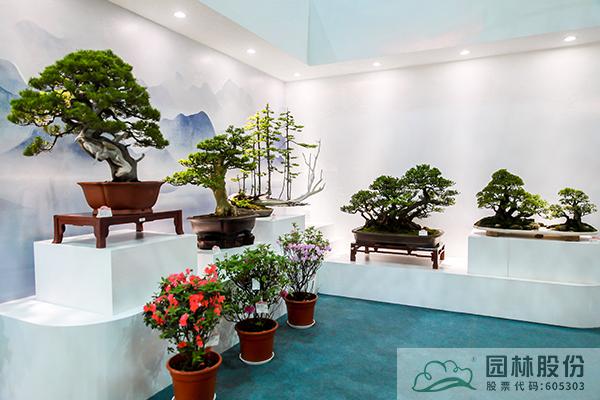 电竞比赛押注app