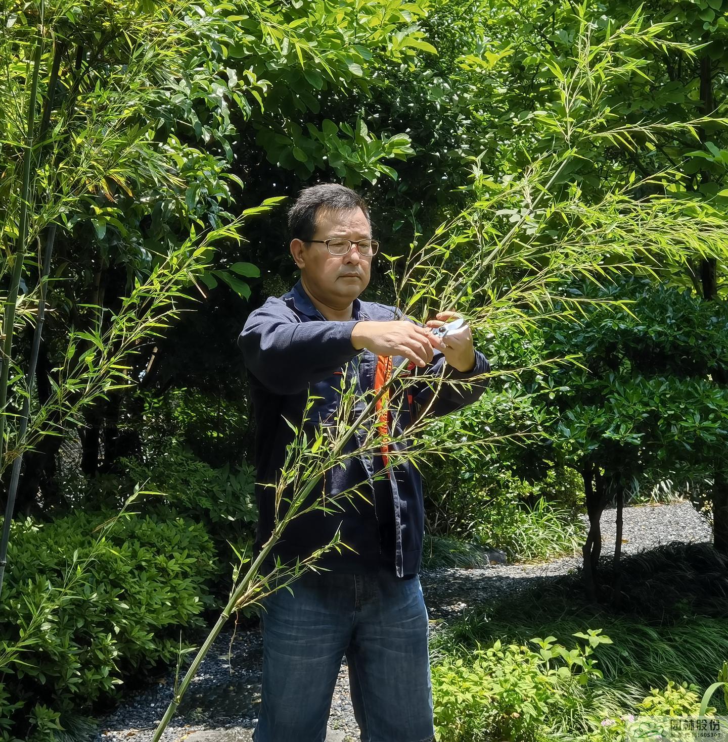 电竞比赛押注app