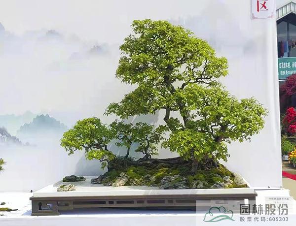 电竞比赛押注app