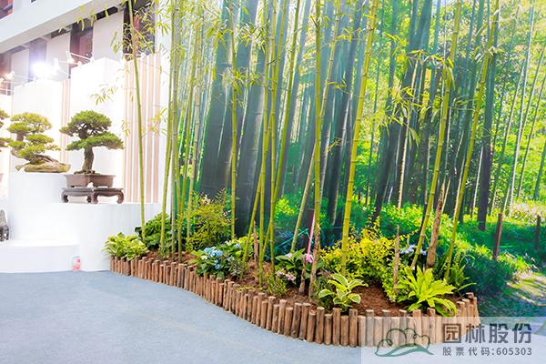 电竞比赛押注app