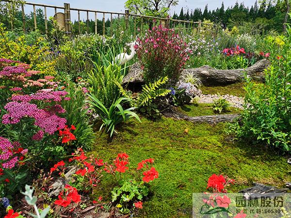 电竞比赛押注app