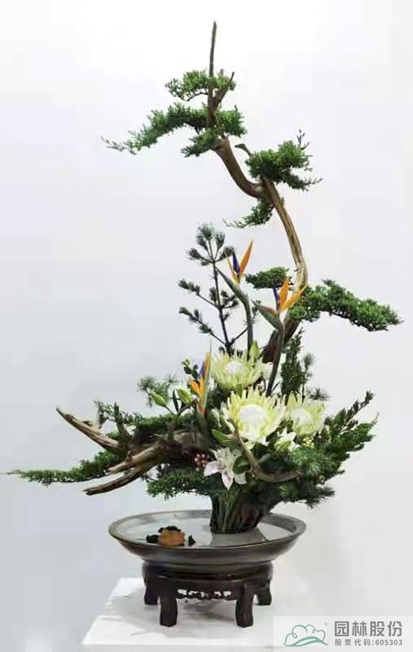 电竞比赛押注app