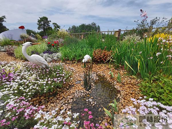 电竞比赛押注app