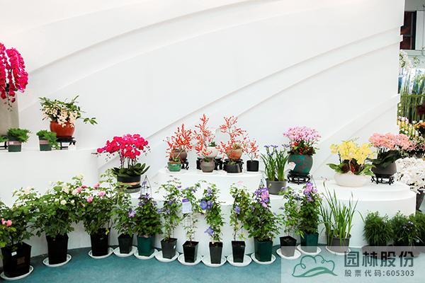 电竞比赛押注app