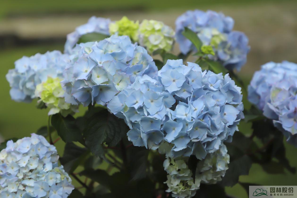 电竞比赛押注app