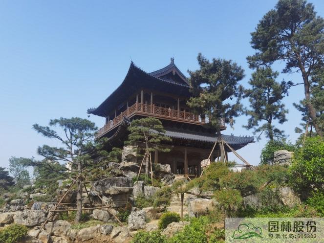 电竞比赛押注app