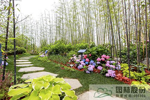 电竞比赛押注app