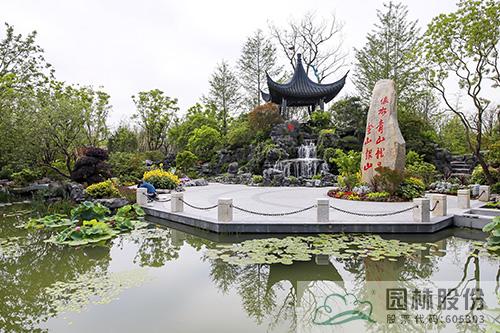 电竞比赛押注app