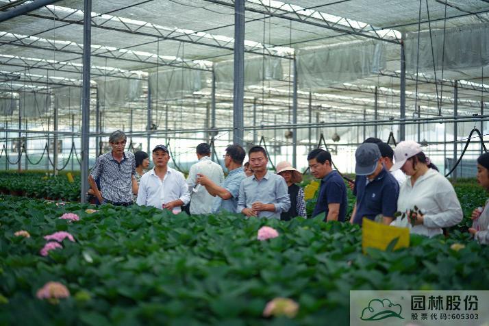 电竞比赛押注app