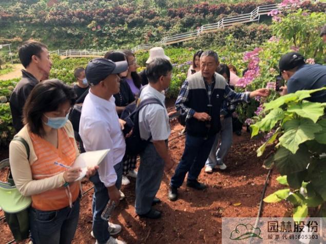 电竞比赛押注app