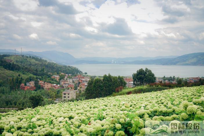 电竞比赛押注app