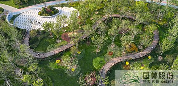 电竞比赛押注app