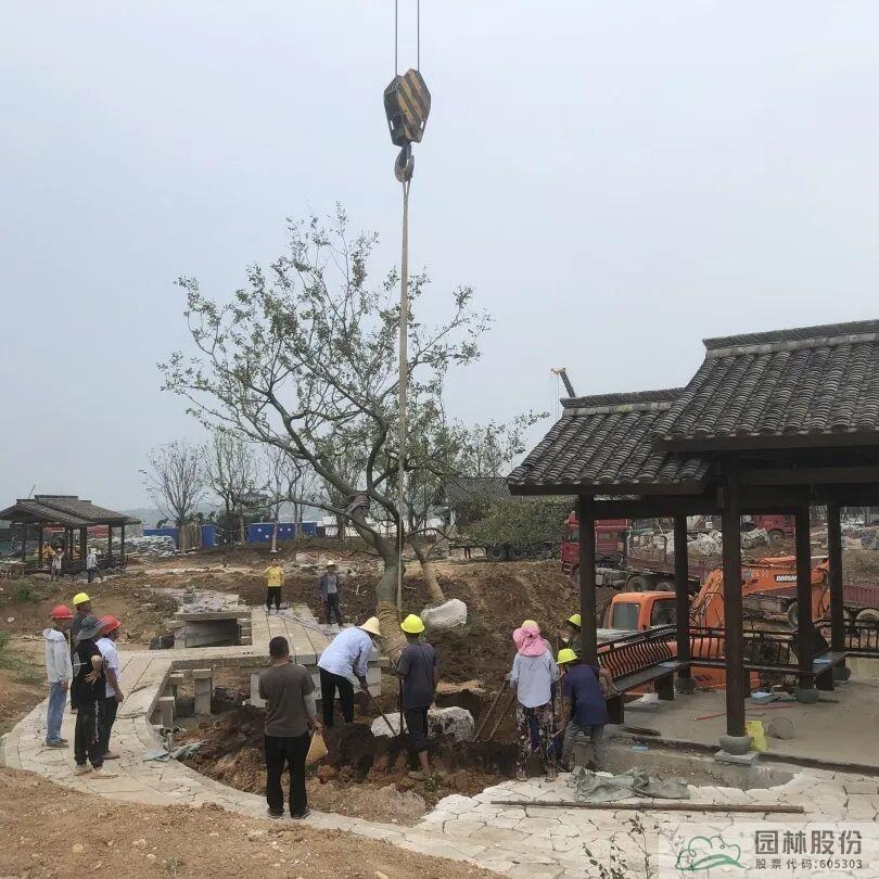 电竞比赛押注app