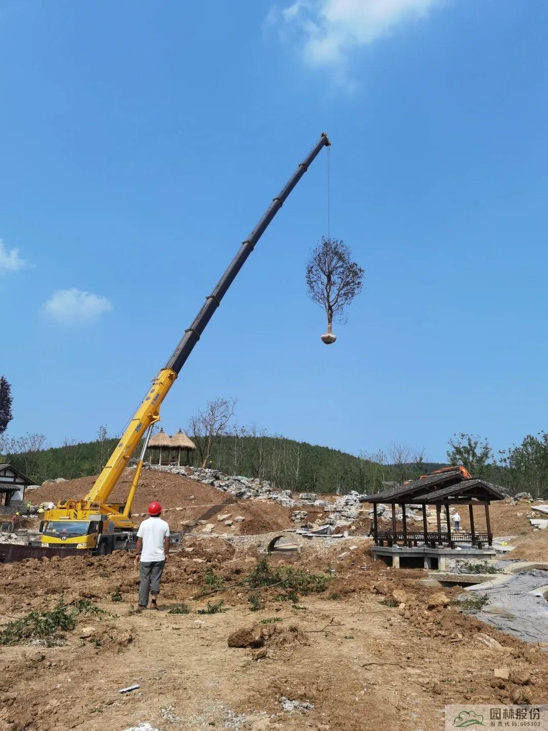 电竞比赛押注app