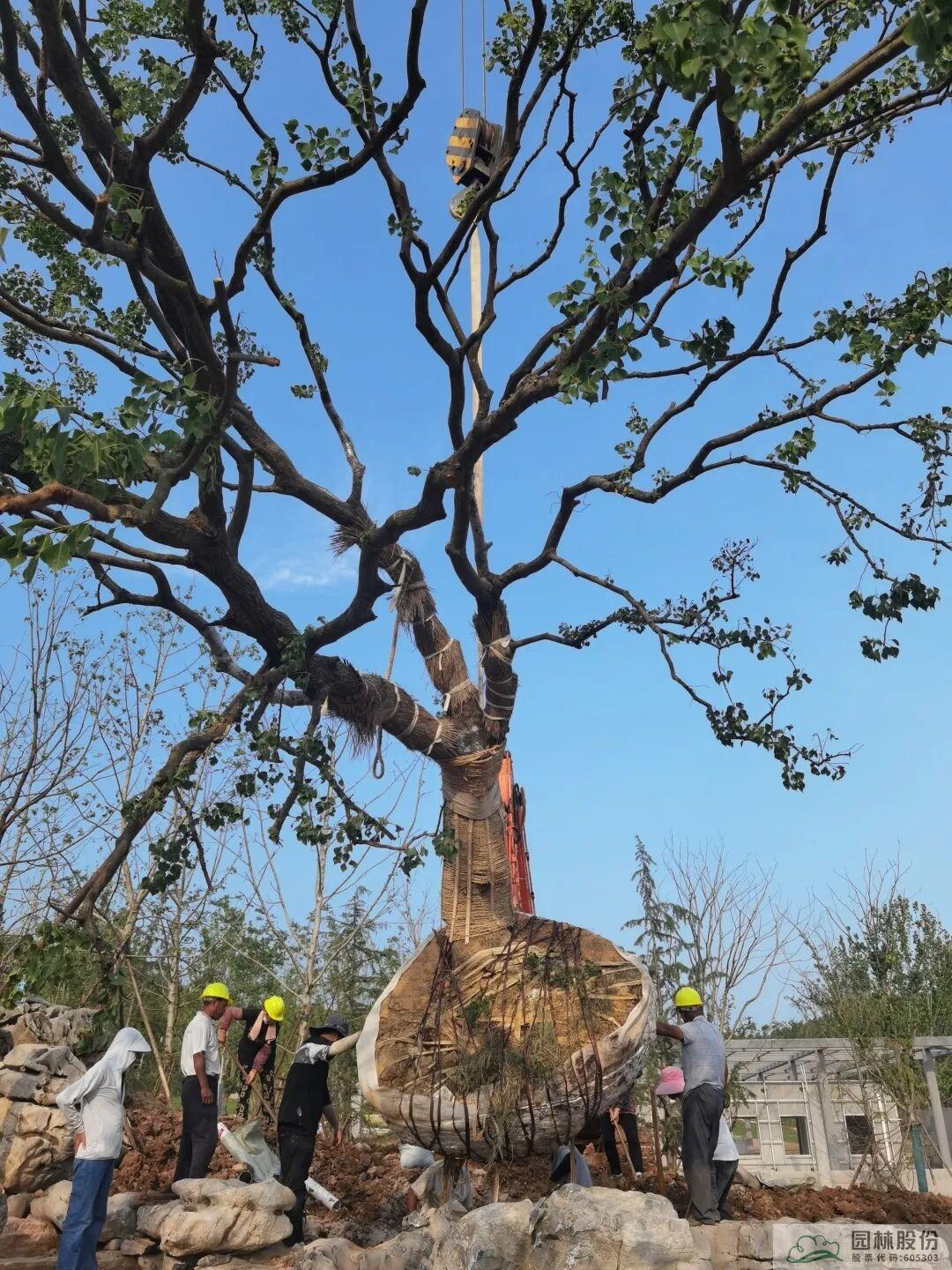 电竞比赛押注app