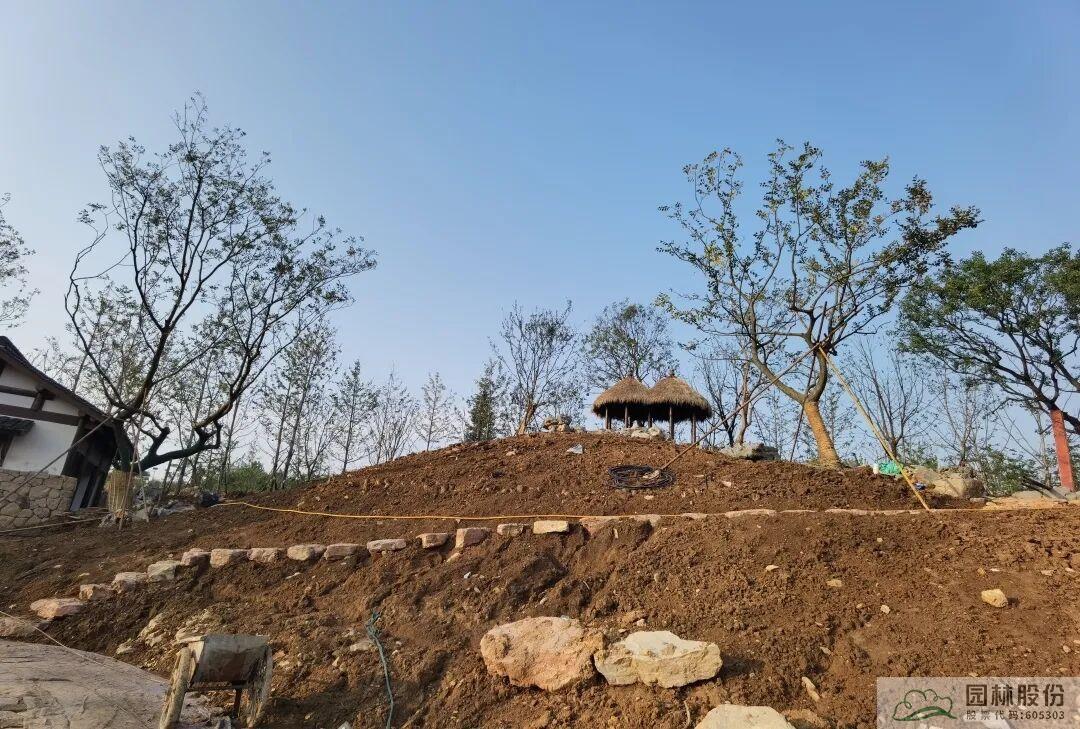 电竞比赛押注app