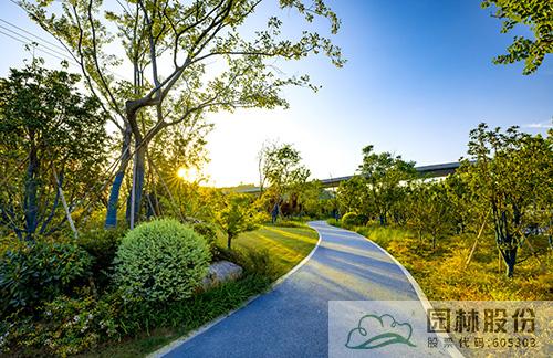 电竞比赛押注app