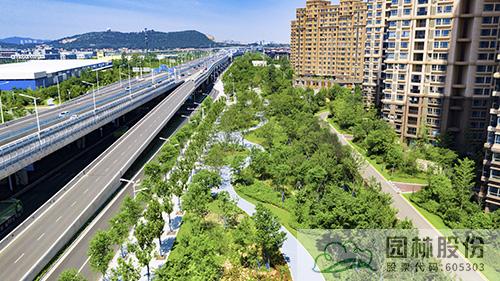 电竞比赛押注app