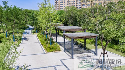 电竞比赛押注app