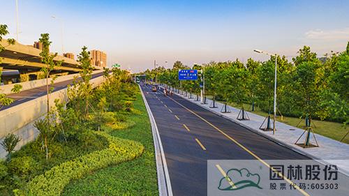 电竞比赛押注app