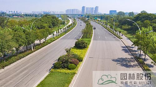 电竞比赛押注app