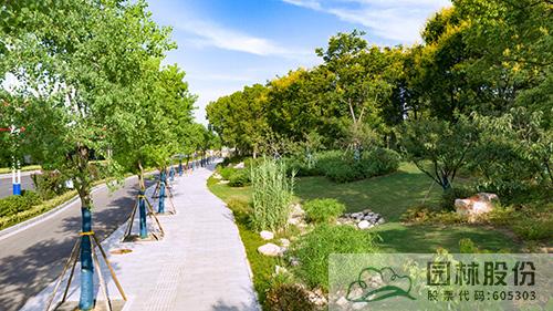 电竞比赛押注app