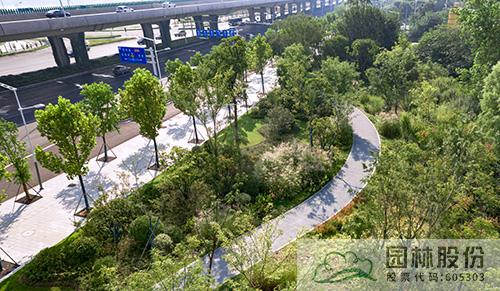 电竞比赛押注app