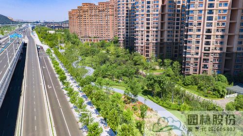 电竞比赛押注app