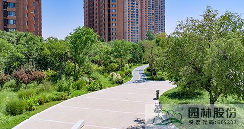 电竞比赛押注app