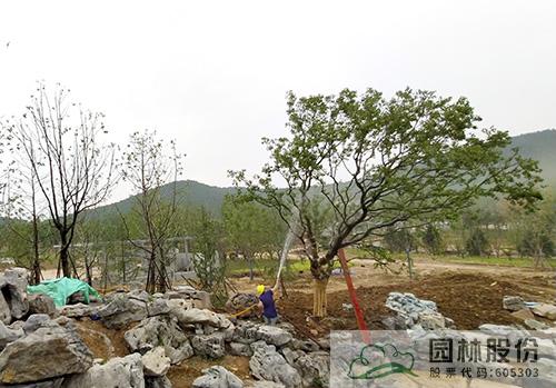 电竞比赛押注app