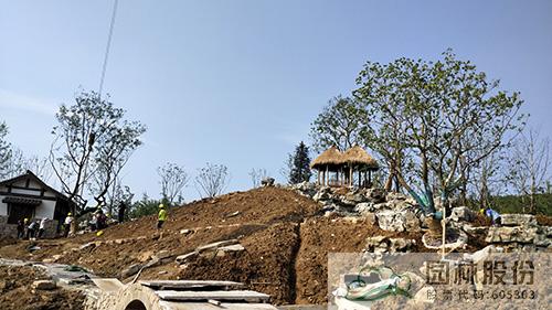 电竞比赛押注app