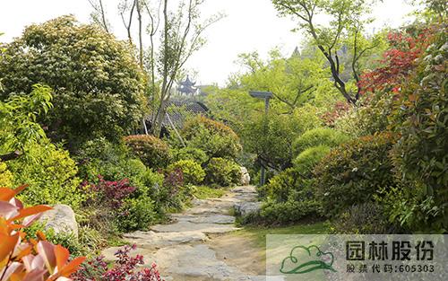 电竞比赛押注app