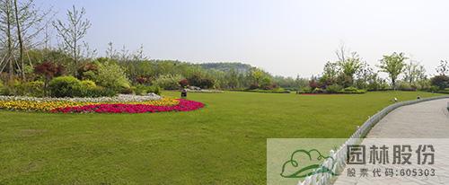 电竞比赛押注app