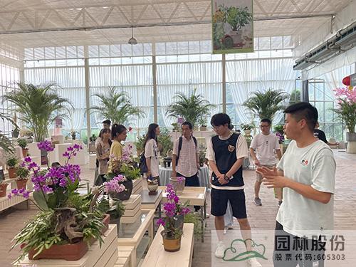 电竞比赛押注app