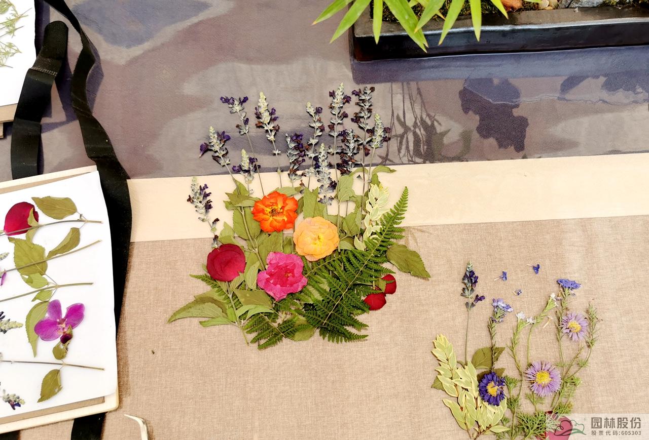 电竞比赛押注app