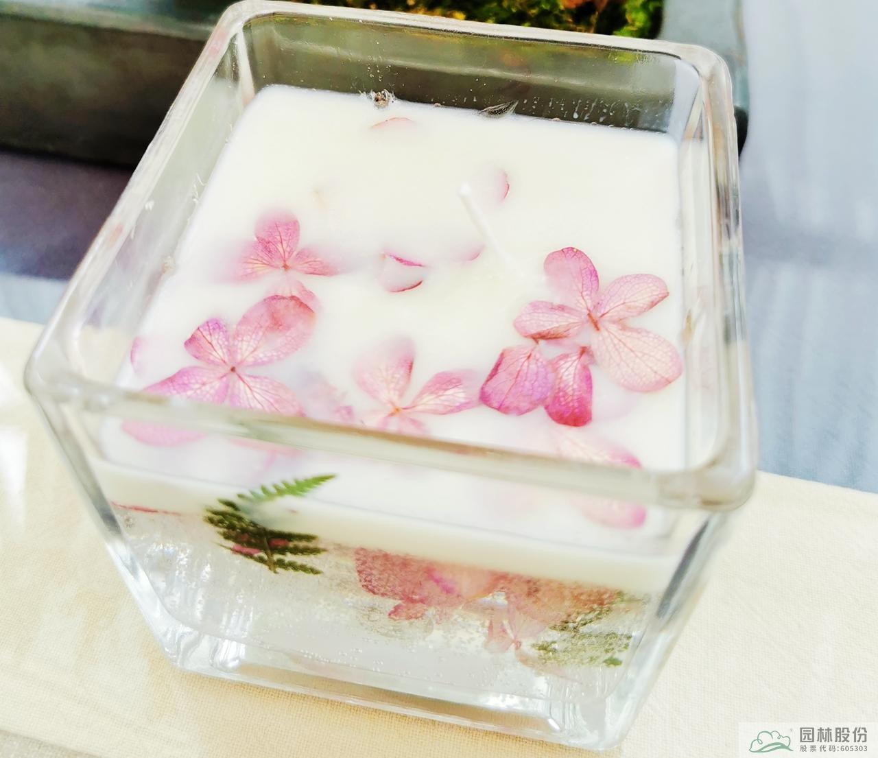 电竞比赛押注app