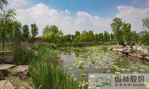 电竞比赛押注app