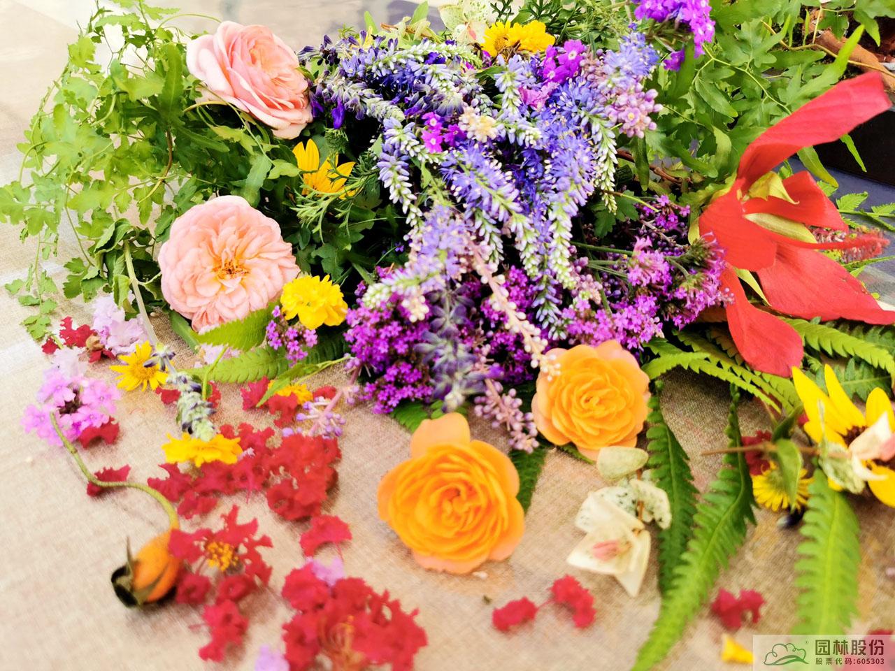 电竞比赛押注app