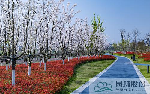 电竞比赛押注app