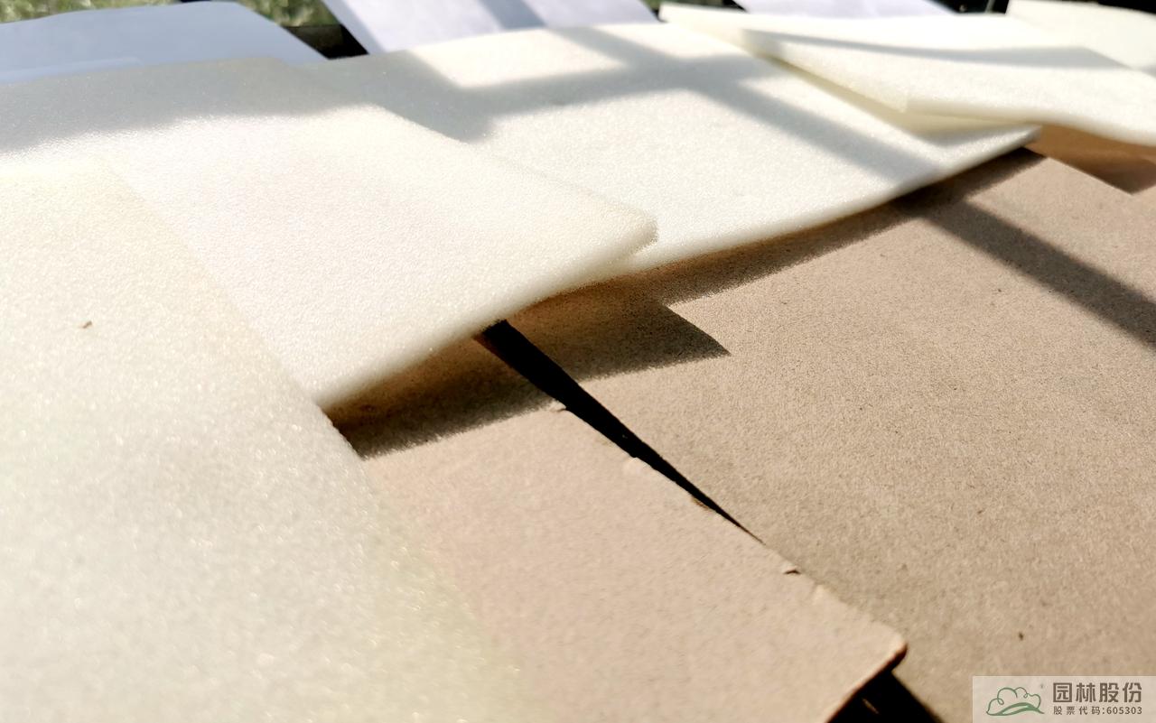 电竞比赛押注app