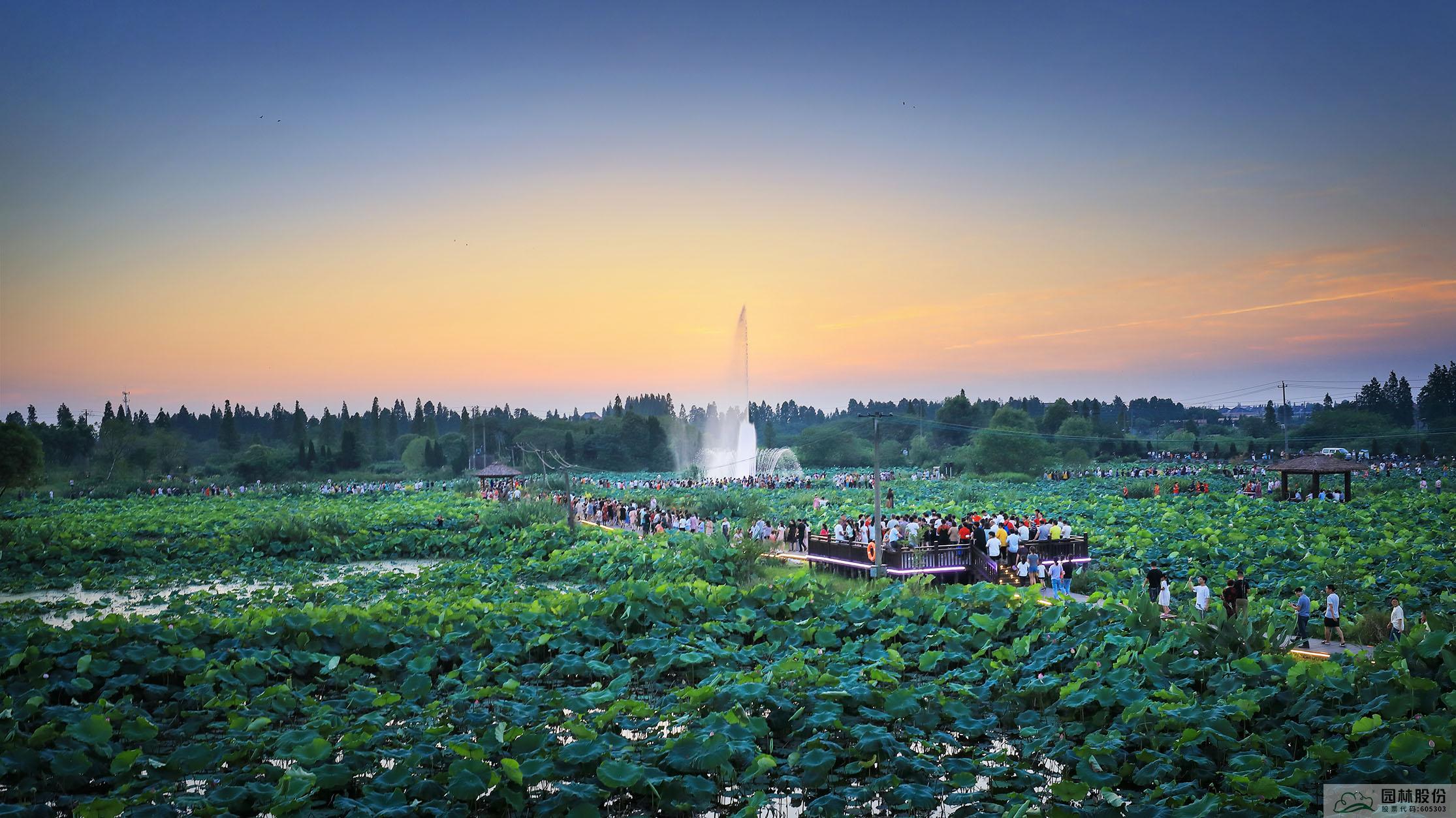 电竞比赛押注app