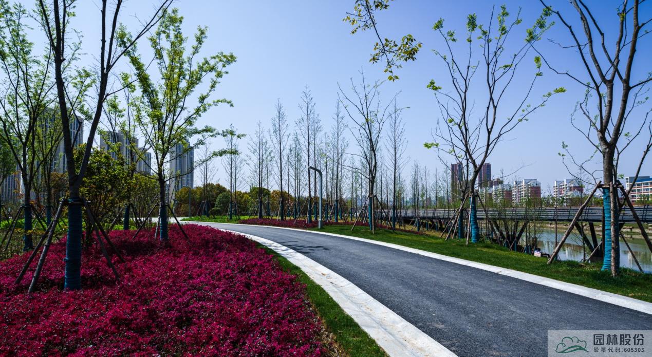 电竞比赛押注app