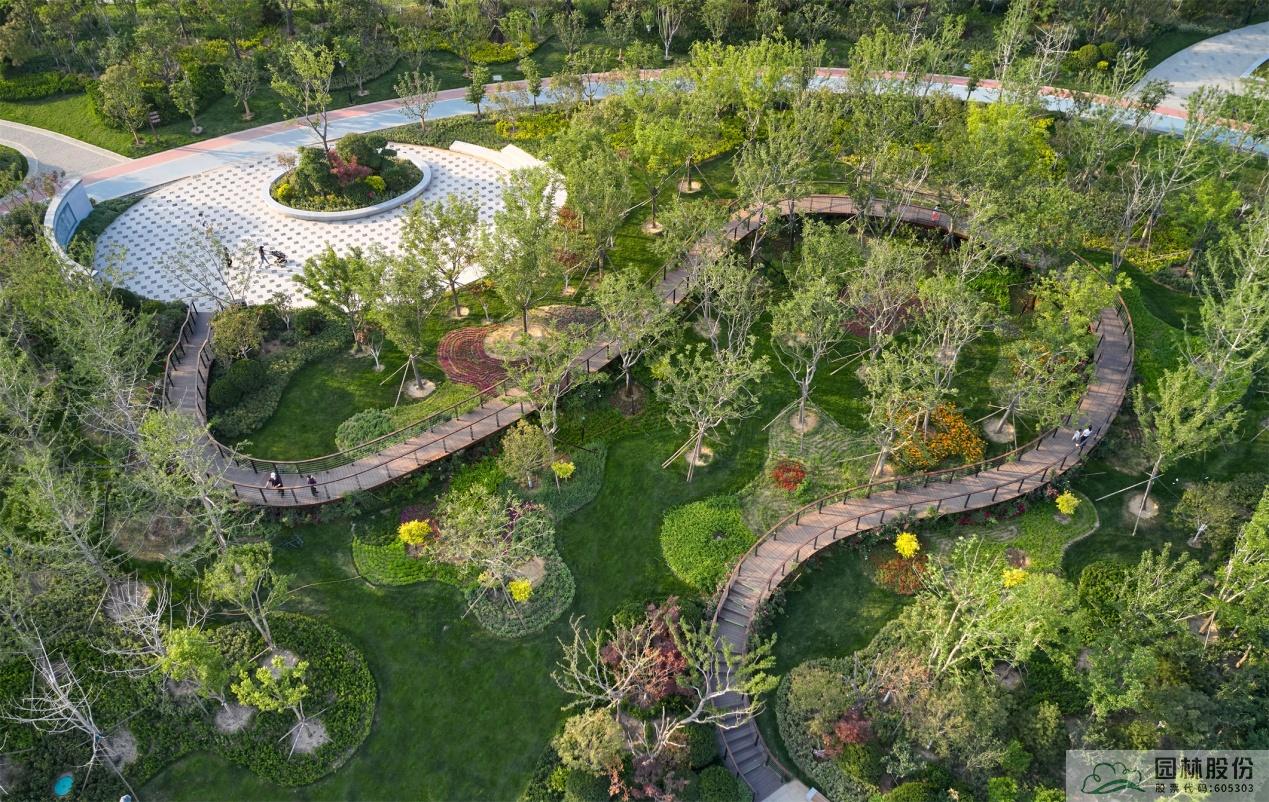 电竞比赛押注app