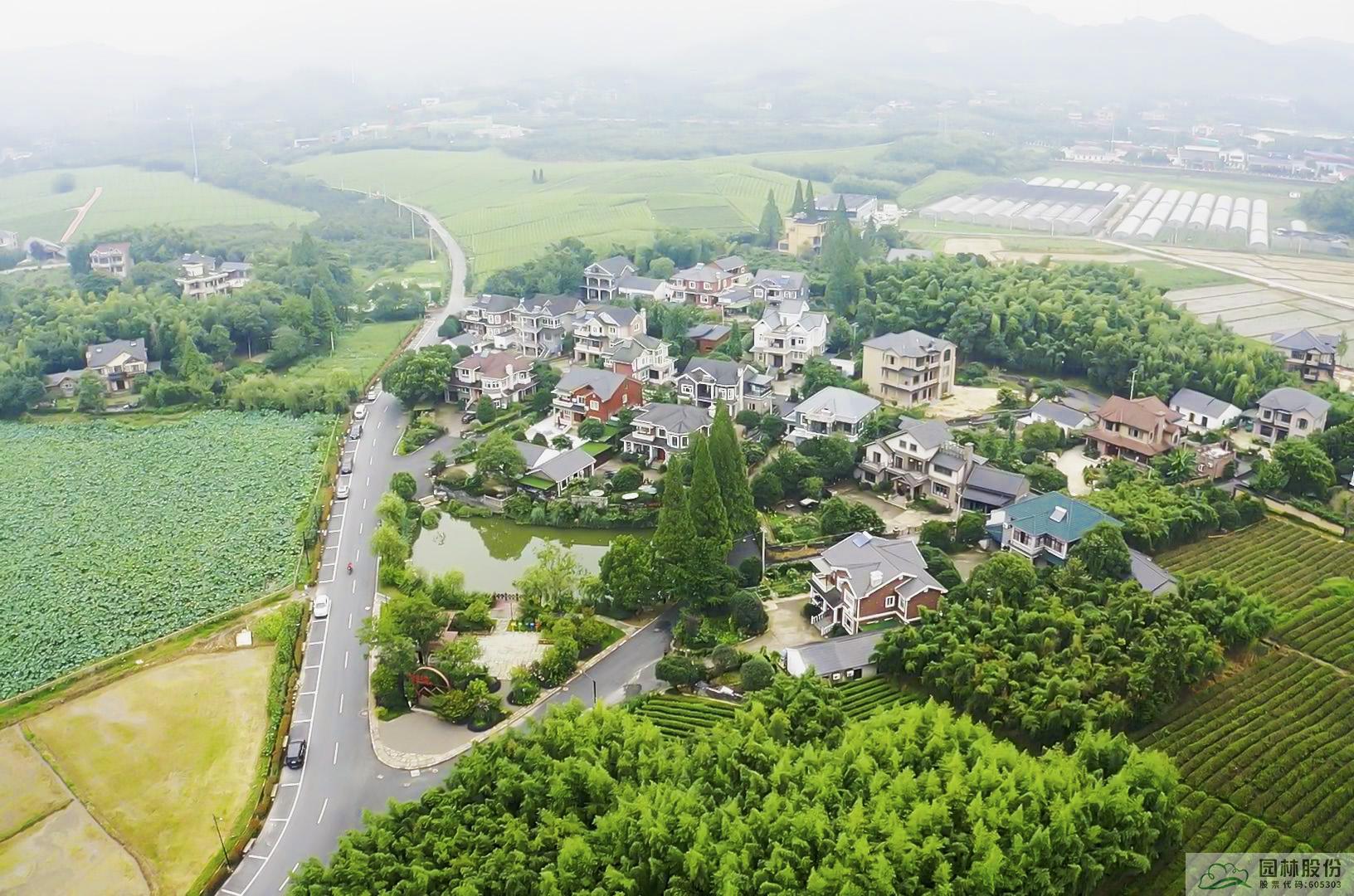 电竞比赛押注app