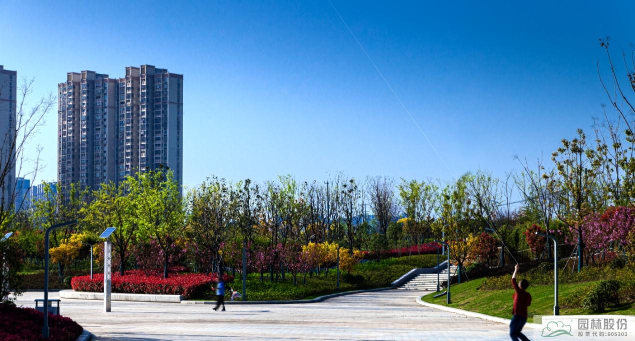 电竞比赛押注app