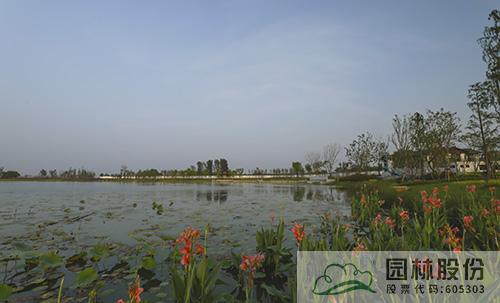 电竞比赛押注app