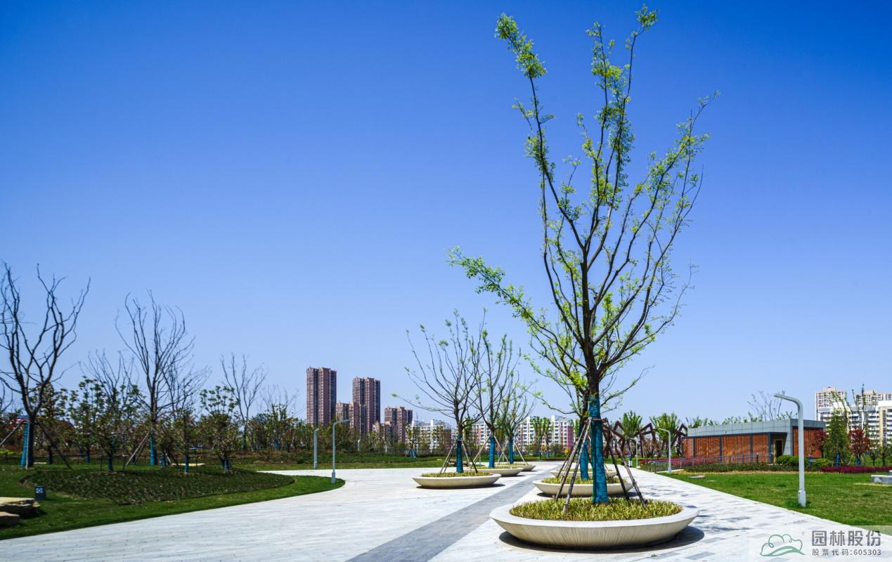 电竞比赛押注app