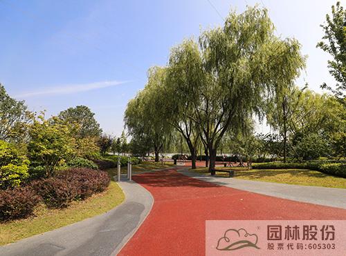 电竞比赛押注app